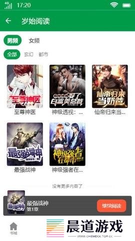 岁始阅读小说