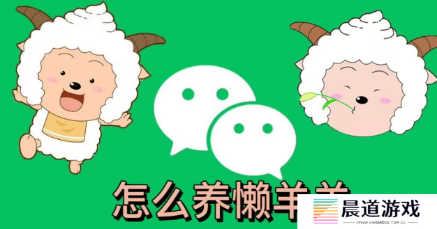 微信状态怎么养懒羊羊