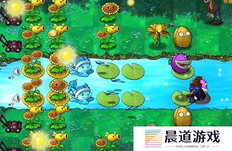 植物大战僵尸融合版冒险模式19关怎么过 植物大战僵尸融合版冒险模式19关通关教程