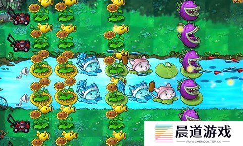 植物大战僵尸融合版冒险模式19关怎么过 植物大战僵尸融合版冒险模式19关通关教程