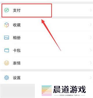 pp视频