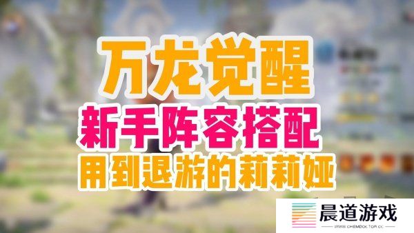 万龙觉醒新手应该选什么样阵容 万龙觉醒新手阵容推荐介绍