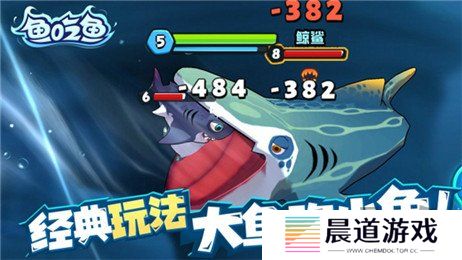 鱼吃鱼兑换码2024最新分享 鱼吃鱼兑换码大全