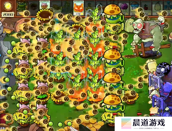 植物大战僵尸杂交版汉堡王3怎么过 植物大战僵尸杂交版汉堡王3通关攻略