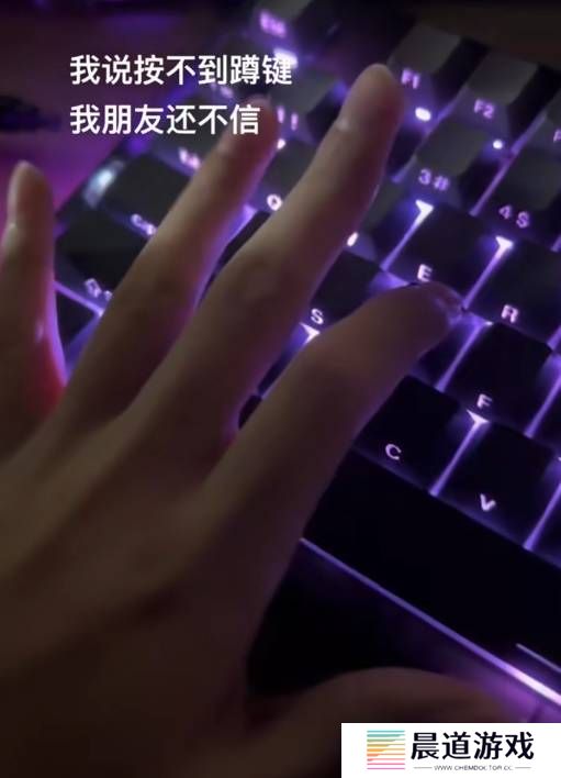本站