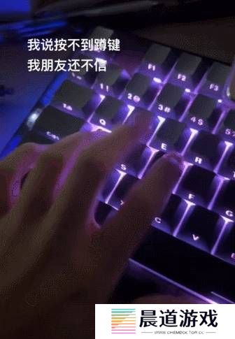 本站