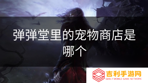 弹弹堂里的宠物商店是哪个