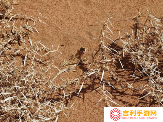 当拉格朗日遇上地球日，玩家还能参与“中国奇迹”？百连抽卡不香了！