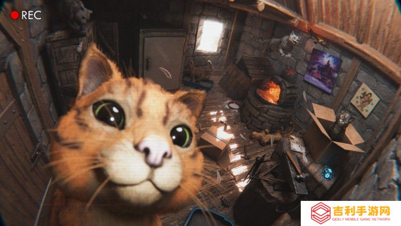 《方舟生存飞升》可爱新生物“猫”上线,性格各异猫党狂喜