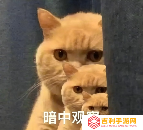 惊！拉格朗日地球日惊现 “中国奇迹”，百连抽卡瞬间不香了？